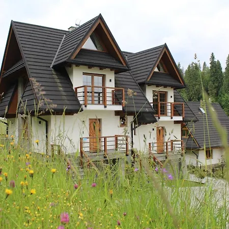 Babcia Goralka House Летний дом Буковина-Татшаньска