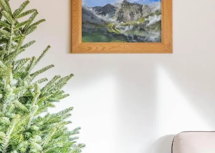 Babcia Goralka House Летний дом *